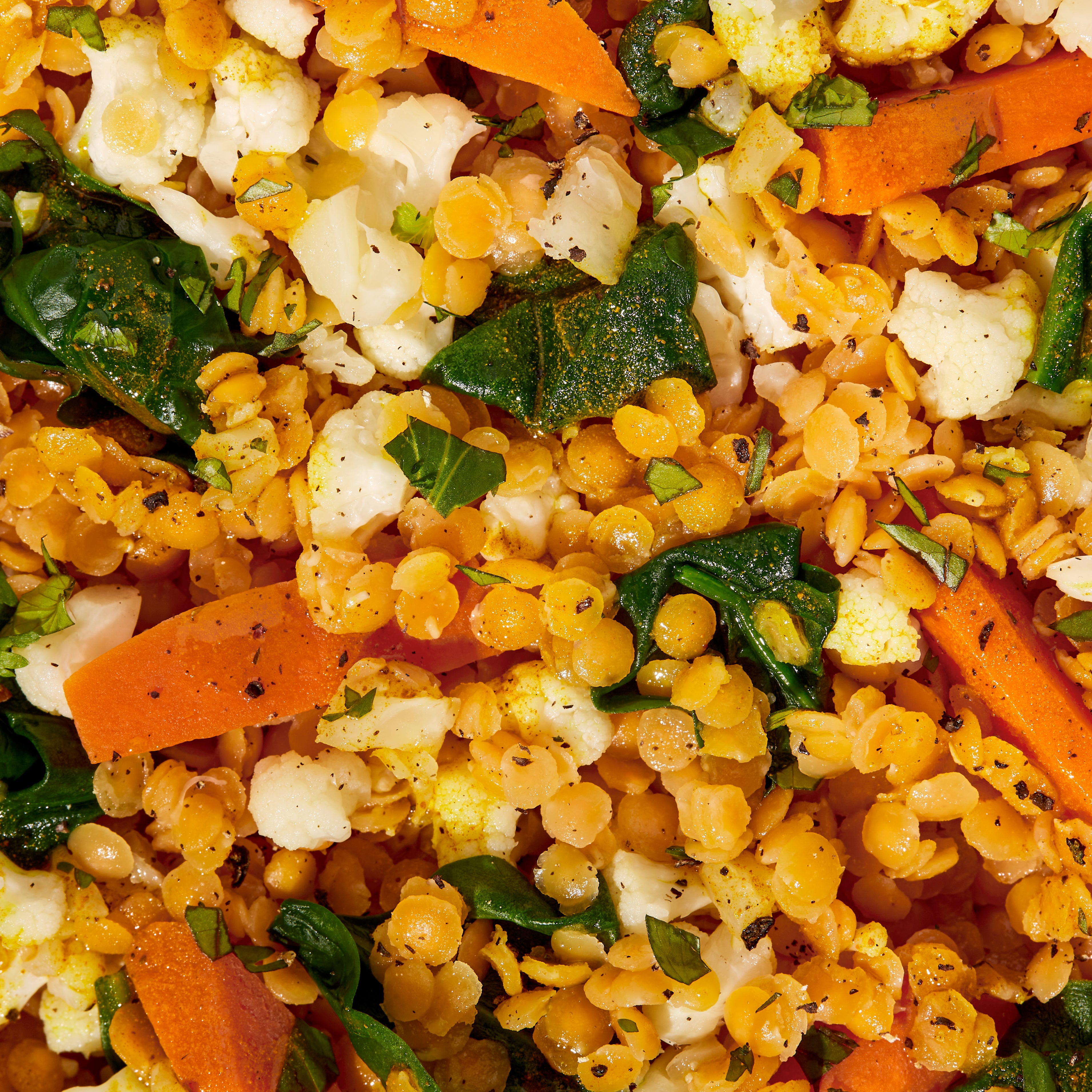 Red Lentil + Cumin Harvest Bowl Sunset