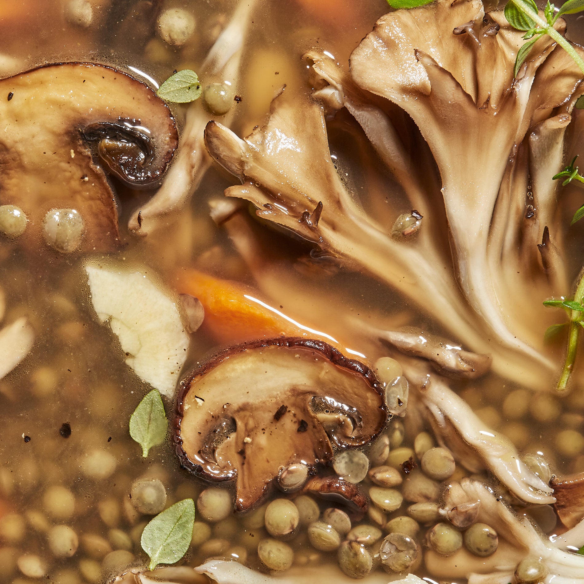 Lentil + Cremini Soup Sunset