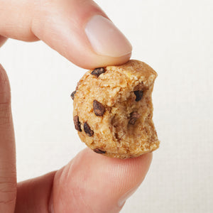 Chocolate Chip Cookie Dough Bite Daily Harvest