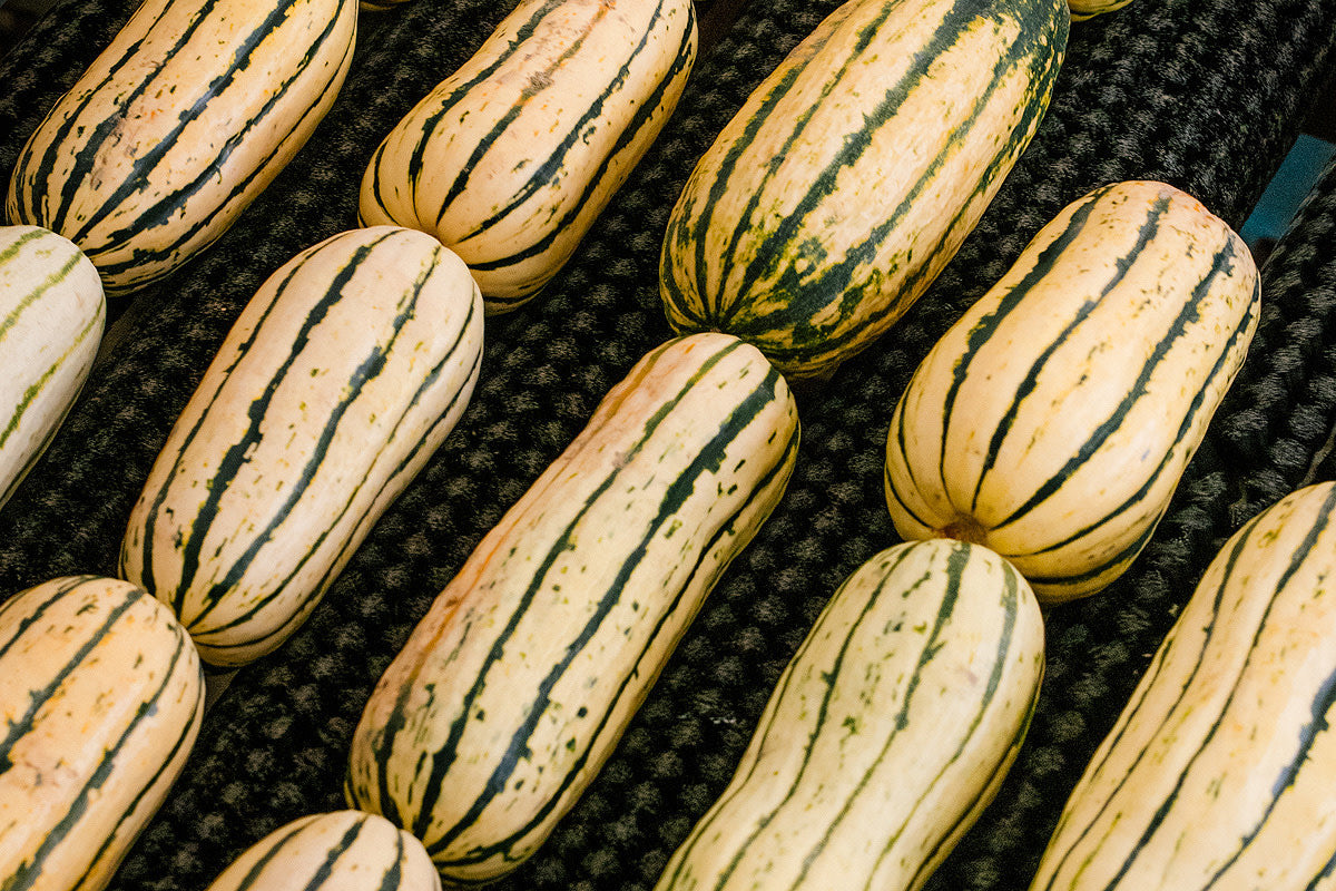 How to Cook Delicata Squash