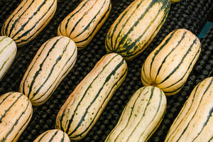 How to Cook Delicata Squash