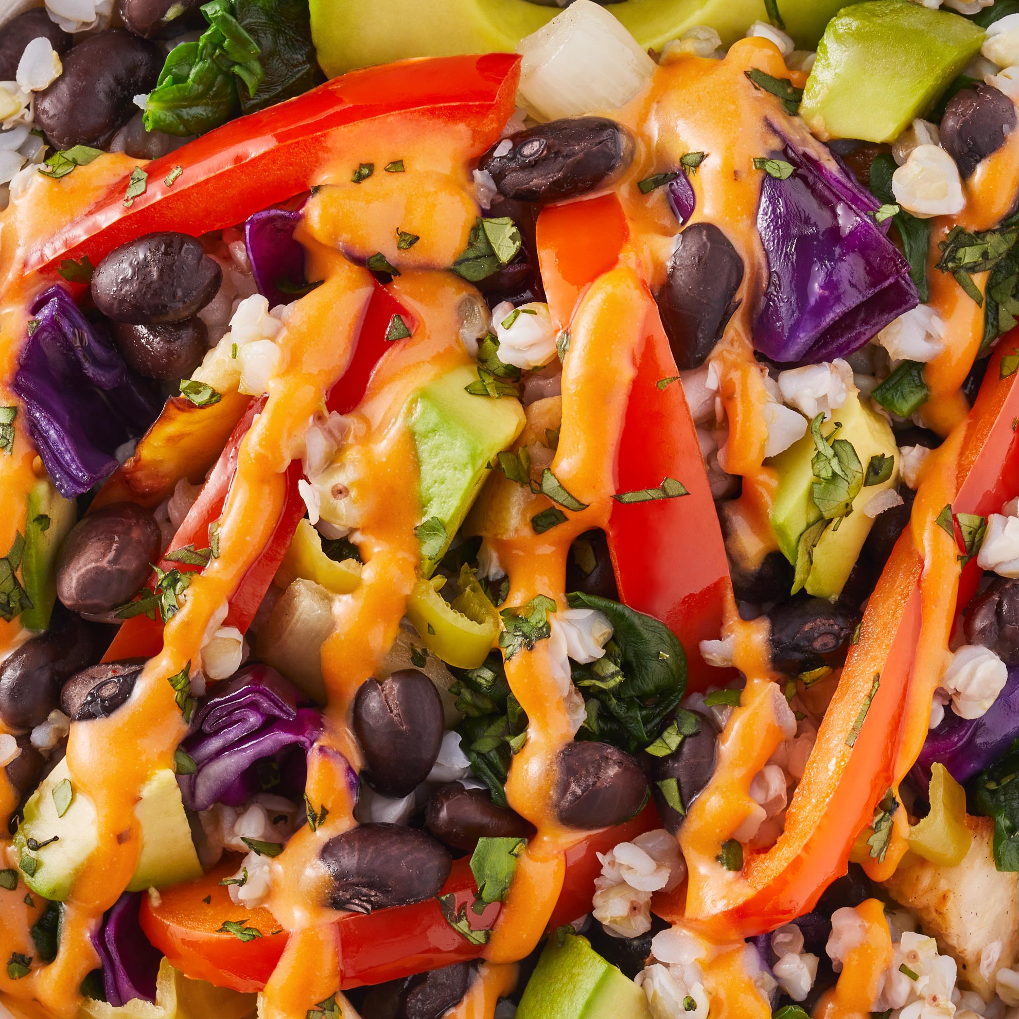 Black Bean + Cheeze Harvest Bowl Daily Harvest